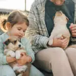Cute little girl in casual clothes embracing cute dog while sitting on sofa in living room at home