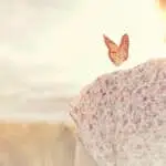 special moment of meeting between a butterfly and a girl in the middle of nature