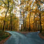 road goes two ways directions in a beautiful autumn forest symbol of making a decision .
